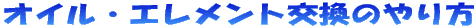 ICEGĝ